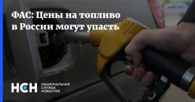 Максим Шаскольский - ФАС: Цены на топливо в России могут упасть - nsn.fm - Россия