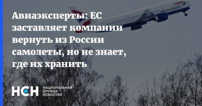 Олег Пантелеев - Авиаэксперты: ЕС заставляет компании вернуть из России самолеты, но не знает, где их хранить - nsn.fm - Россия