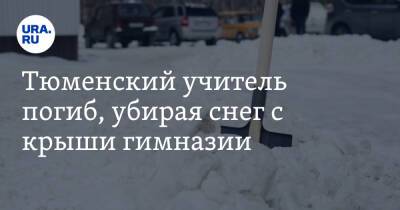 Тюменский учитель погиб, убирая снег с крыши гимназии - ura.news - Тюменская обл.