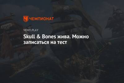 Skull & Bones жива. Можно записаться на тест - championat.com