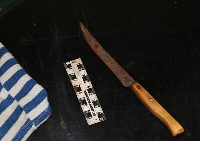 Расследование дела об убийстве на улице Березовой завершено - ya62.ru - Россия - Рязанская обл. - Рязань