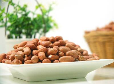Зухра Павлова - Эндокринолог рассказала, почему орехи и крупы нужно обязательно замачивать перед едой - rosbalt.ru