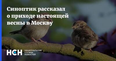 Александр Шувалов - Синоптик рассказал о приходе настоящей весны в Москву - nsn.fm - Москва