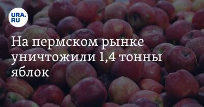 На пермском рынке уничтожили 1,4 тонны яблок - ura.news - Россия - Пермь - Кировская обл. - респ. Удмуртия - Пермский край