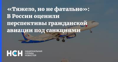 «Тяжело, но не фатально»: В России оценили перспективы гражданской авиации под санкциями - nsn.fm - Россия