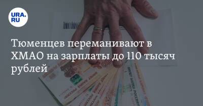 Тюменцев переманивают в ХМАО на зарплаты до 110 тысяч рублей - ura.news - Тюмень - Тюменская обл. - Югра