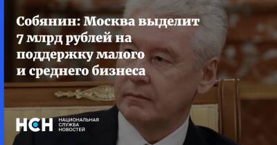 Сергей Собянин - Собянин: Москва выделит 7 млрд рублей на поддержку малого и среднего бизнеса - nsn.fm - Москва - Россия