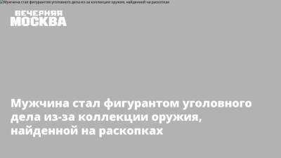 Ирина Волк - Мужчина стал фигурантом уголовного дела из-за коллекции оружия, найденной на раскопках - vm.ru - Россия