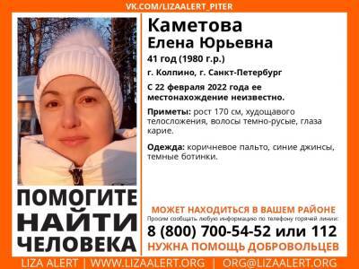 Элизабет Алерт - В Колпино 1,5 недели ищут пропавшую 41-летнюю женщину - ivbg.ru - Украина - Петербург