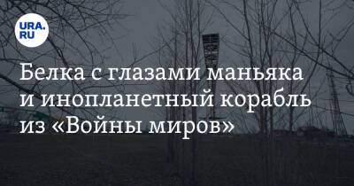 Александр Кулаковский - Белка с глазами маньяка и инопланетный корабль из «Войны миров» - ura.news - Франция - Югра - Нижневартовск