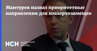 Денис Мантуров - Мантуров назвал приоритетные направления для импортозамещения - nsn.fm - Россия