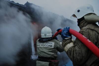 На пожаре в Рыбновском районе погибли два человека - 7info.ru - Россия - Рязанская обл. - район Рыбновский