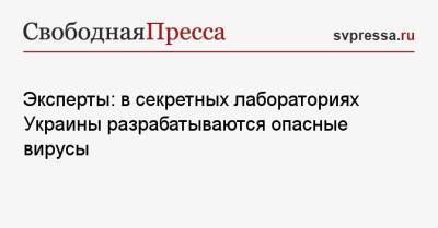 Игорь Кириллов - Эксперты: в секретных лабораториях Украины разрабатываются опасные вирусы - svpressa.ru - Россия - США - Украина - Уральск