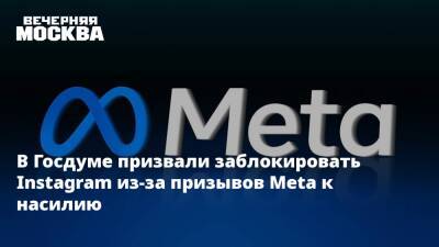 Владимир Путин - Александр Лукашенко - Александр Хинштейн - В Госдуме призвали заблокировать Instagram из-за призывов Meta к насилию - vm.ru - Россия - США - Украина - Белоруссия