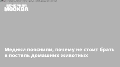 Медики пояснили, почему не стоит брать в постель домашних животных - vm.ru - Москва