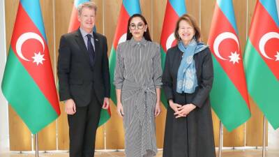Мехрибан Алиева - Мехрибан Алиева встретилась с торговым посланником премьер-министра Великобритании по Азербайджану - mir24.tv - Англия - Азербайджан