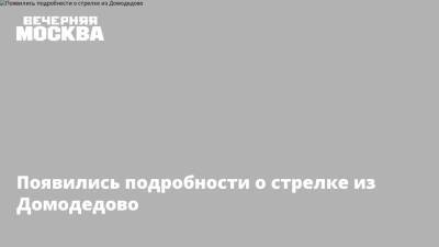 Появились подробности о стрелке из Домодедово - vm.ru - городское поселение Домодедово