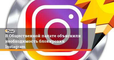 Александр Малькевич - В Общественной палате объяснили необходимость блокировки Instagram - ridus.ru - Россия - Украина