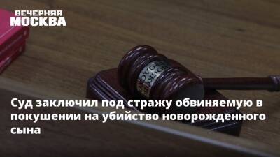 Людмила Нефедова - Суд заключил под стражу обвиняемую в покушении на убийство новорожденного сына - vm.ru - Москва