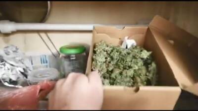 Полицейские нашли в квартире пензенца коробку с марихуаной - penzainform.ru - Россия - Пензенская обл. - Пенза
