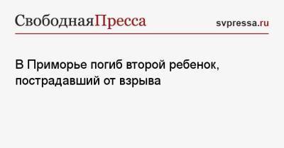 В Приморье погиб второй ребенок, пострадавший от взрыва - svpressa.ru - Россия - Приморье край - респ.Бурятия - респ. Хакасия - Пенза