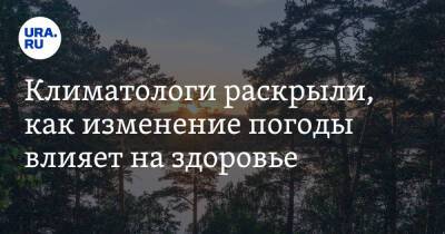 Алексей Кокорин - Климатологи раскрыли, как изменение погоды влияет на здоровье - ura.news - Россия - Архангельская обл.