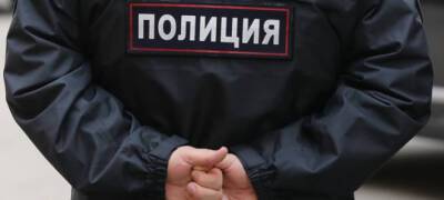 В Карелии пьяная дебоширка ударила по лицу полицейского - stolicaonego.ru - республика Карелия