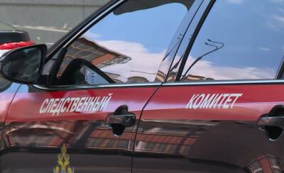 Следком начал проверку по факту гибели сожителей на пожаре в Рыбновском районе - 7info.ru - Рязань