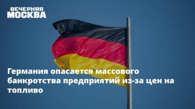 Роберт Хабек - Германия опасается массового банкротства предприятий из-за цен на топливо - vm.ru - Австрия - Россия - Украина - Италия - Германия - Венгрия