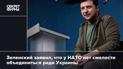 Владимир Зеленский - Зеленский заявил, что у НАТО нет смелости объединиться ради Украины - secretmag.ru - Украина