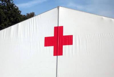 Ливанские врачи готовы отправиться на помощь российским коллегам на Украине - online47.ru - Россия - Украина - Ливан