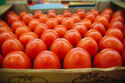 Продукты и техника резко подорожали в Кузбассе - news.vse42.ru - Кемеровская обл.