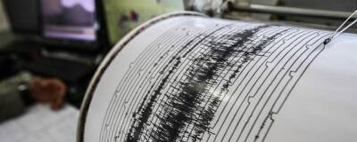 На Камчатке произошло землетрясение силой 5,4 баллов - runews24.ru - район Усть-Камчатский