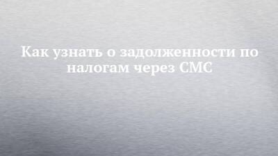 Как узнать о задолженности по налогам через СМС - chelny-izvest.ru - Россия - респ. Татарстан