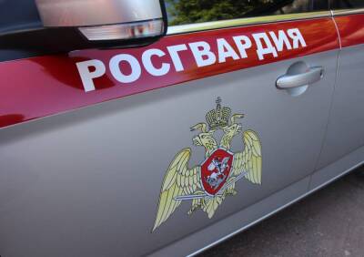 Ford - В Рязанской области сотрудники Росгвардии выявили нетрезвого водителя - 7info.ru - Рязанская обл.