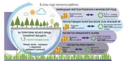Алексей Русских - Меньше свалок, чище реки. Как сделать Ульяновскую область экологичной - ulpravda.ru - Россия - Ульяновск - Ульяновская