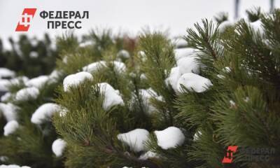 Синоптики назвали время начала осадков во Владивостоке - fedpress.ru - Приморье край - Владивосток
