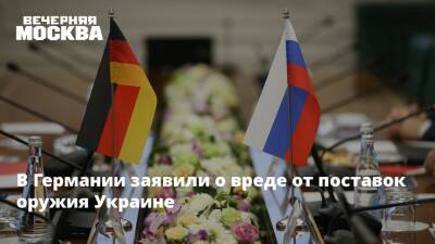 Владимир Путин - Жозеп Боррель - В Германии заявили о вреде от поставок оружия Украине - vm.ru - Россия - Украина - Киев - Германия