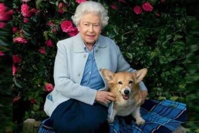 принц Уильям - Елизавета II - принц Чарльз - Елизавета Королева - принц Филипп - Королева Елизавета II перестала выгуливать собак из-за слабого здоровья - versia.ru - Англия
