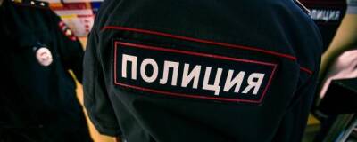 В Электрогорске полицейские задержали женщину, подозреваемую в грабеже - runews24.ru - Россия - Электрогорск