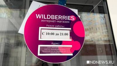 Мария Зыкова - Интернет-магазин Wildberries перестал работать из-за перегрузок - newdaynews.ru - Россия - Екатеринбург