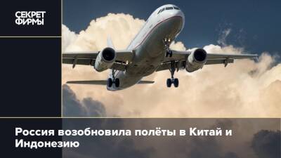 Россия возобновила полёты в Китай и Индонезию - secretmag.ru - Россия - Китай - Армения - Казахстан - Узбекистан - Ирак - Иран - Мальдивы - Индия - Сербия - Азербайджан - Таиланд - Индонезия
