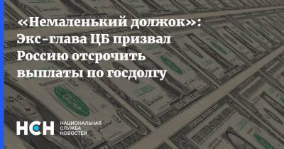 «Немаленький должок»: Экс-глава ЦБ призвал Россию отсрочить выплаты по госдолгу - nsn.fm - Россия