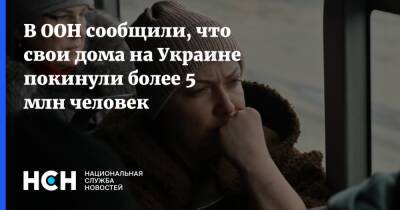 Филиппо Гранди - В ООН сообщили, что свои дома на Украине покинули более 5 млн человек - nsn.fm - Украина