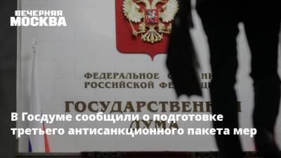 Владимир Путин - Михаил Мишустин - Петр Толстой - В Госдуме сообщили о подготовке третьего антисанкционного пакета мер - vm.ru - Россия - Киев - Донецкая обл.