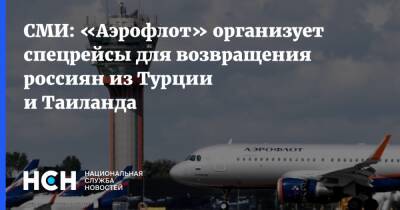 Таиланд - СМИ: «Аэрофлот» организует спецрейсы для возвращения россиян из Турции и Таиланда - nsn.fm - Россия - Турция - Таиланд - Стамбул
