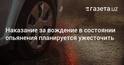 Наказание за вождение в состоянии опьянения планируется ужесточить - gazeta.uz - Узбекистан