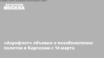 «Аэрофлот» объявил о возобновлении полетов в Киргизию с 14 марта - vm.ru - Москва - Россия - Казахстан - Узбекистан - Белоруссия - Киргизия - Бишкек - Минск - Ташкент - Стамбул