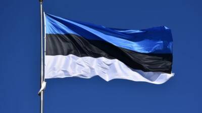 Александр Радчук - Эстония призвала НАТО закрыть небо над Украиной - ru.slovoidilo.ua - Россия - Украина - Белоруссия - Эстония