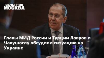 Владимир Путин - Сергей Лавров - Главы МИД России и Турции Лавров и Чавушоглу обсудили ситуацию на Украине - vm.ru - Москва - Россия - Украина - Турция - ДНР - ЛНР - Катар